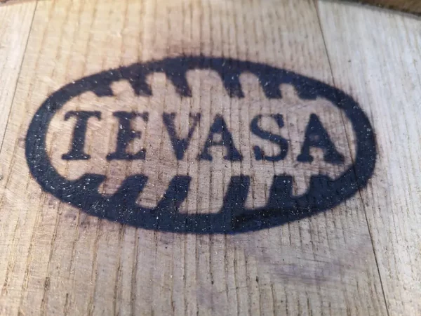 Tevasa