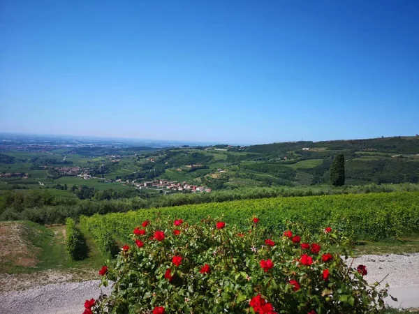 Die Region Valpolicella